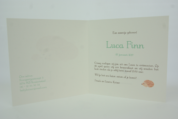 geboortekaartje luca lichtgroen